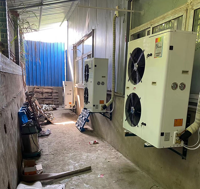 亳州江夏芒果催熟庫