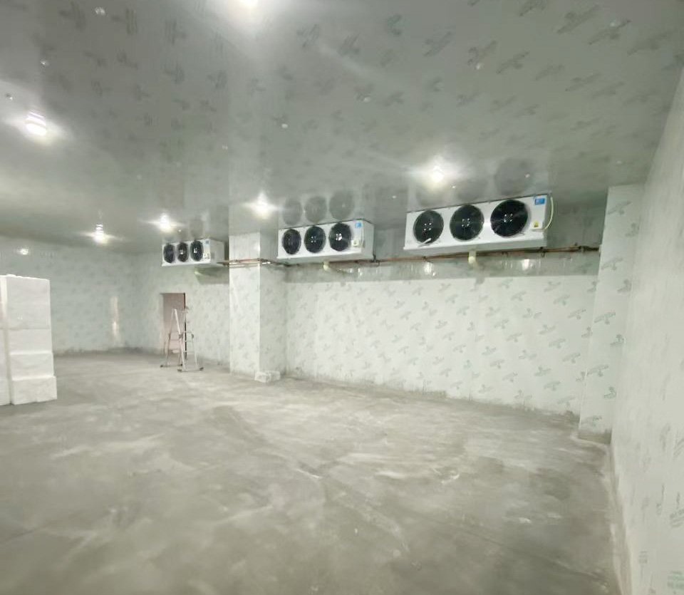 三門峽普拉拉食品500立方-25度冰淇淋